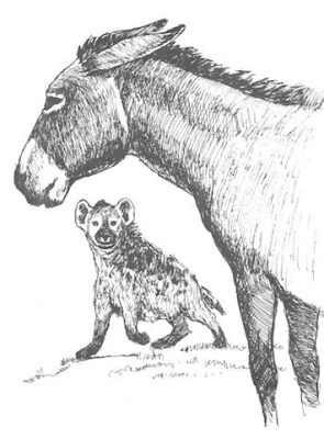  The Donkey and the Hyena -  A Hilarious Ethiopian Tale Highlighting Wisdom and Foolishness